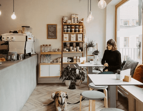 The Ultimate Guide to Zero-Waste Coffee Cups and Accessories You Need Today